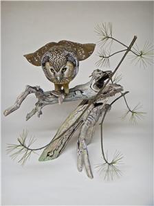 LIFE-SIZE BOREAL OWL WITH MOTH